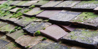 Stansted roof repair costs